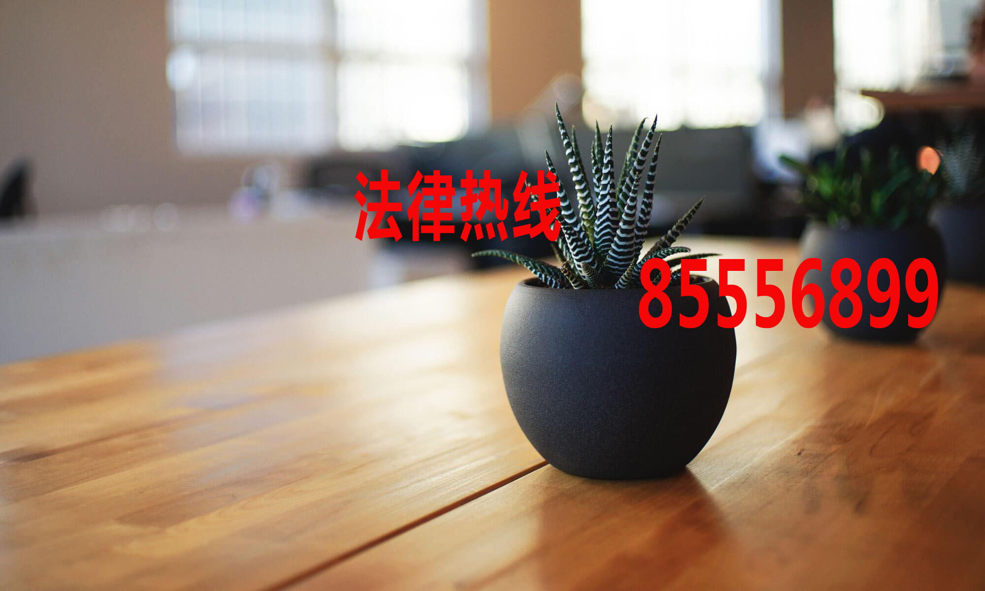 龙湾区律师15356291688_温州市龙湾律师
